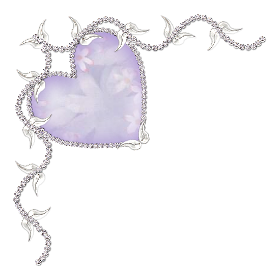  photo Image8.png