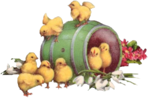  photo l2slk0u9_zps8113c9c6.png