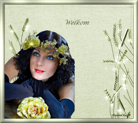  photo Plaatje1_zps746af7b7.gif