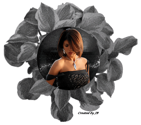  photo Plaatje6_zpsc77069e8.gif