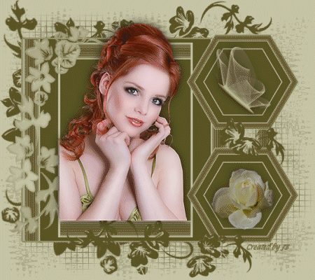 photo Plaatje3.gif