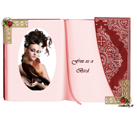  photo Plaatje5-3.png