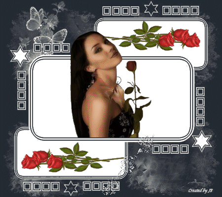  photo Plaatje4.gif