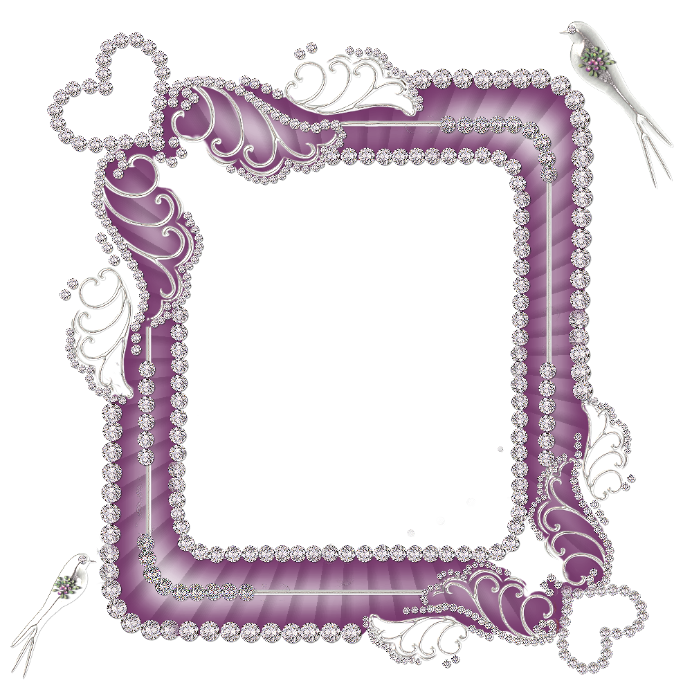  photo CJ_SilverFrames278Grape.png