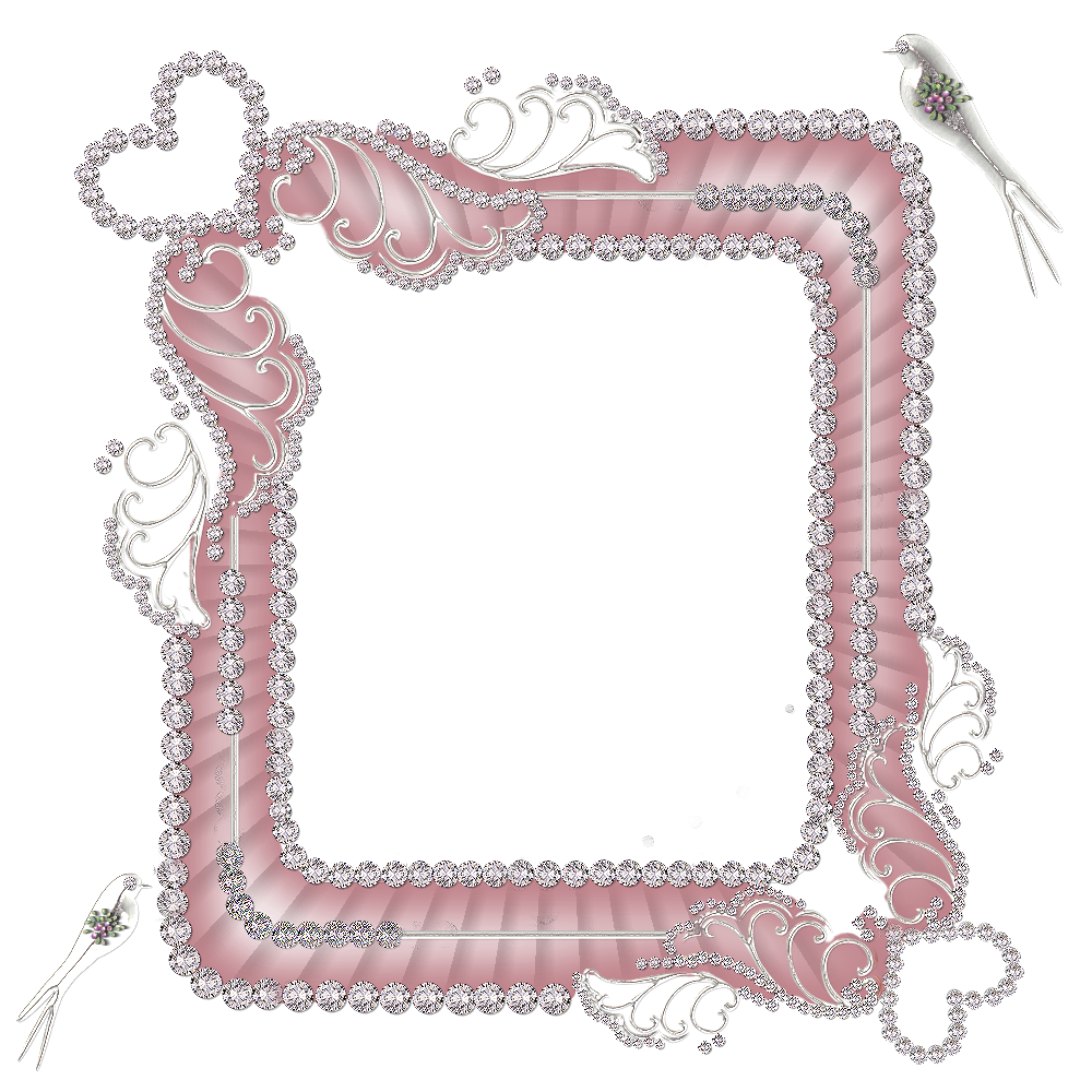  photo CJ_SilverFrames278Rose.png