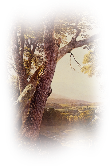  photo 189428cc.png