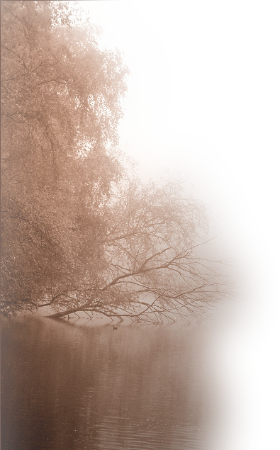  photo 594c6ae3.png