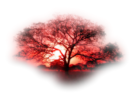  photo 6ac5e91b.png