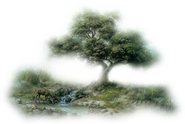  photo 8a5de5a8.png