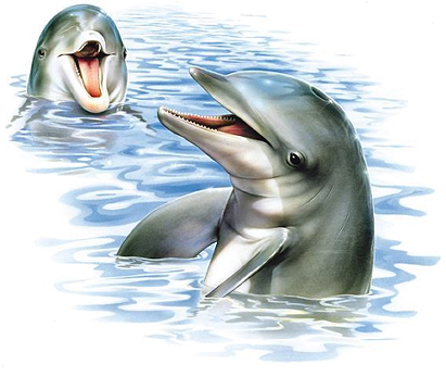  photo 4ff30b9a.png