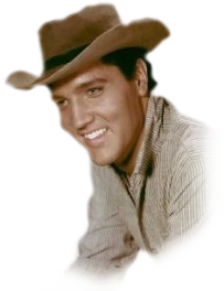  photo ntzpvlns_zps7802abcd.png