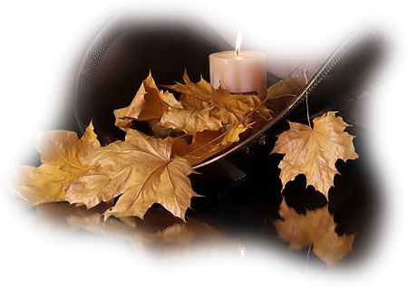 photo 375037bb.png