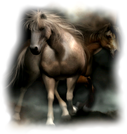  photo x95uq9qh.png