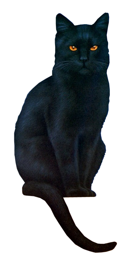  photo 12_zpsc6c6fb9d.png