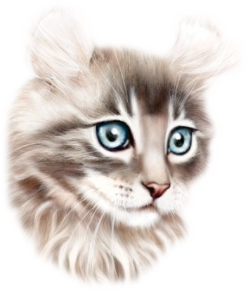  photo 37_zps4682efb5.png