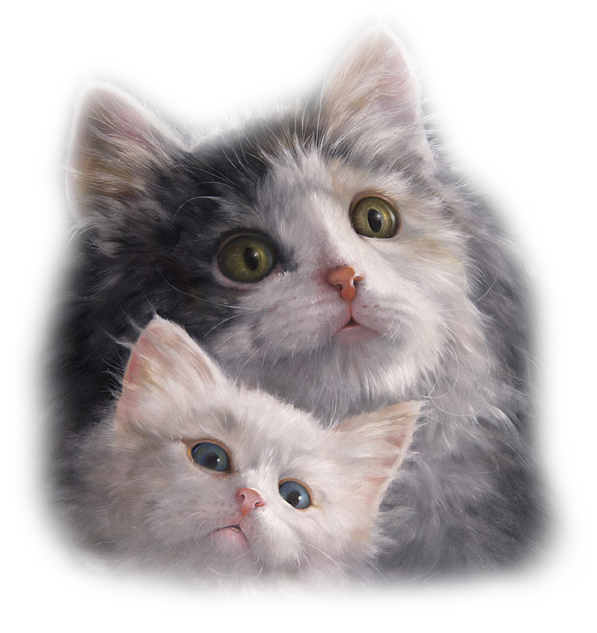  photo 3_zps3c2d9a12.png