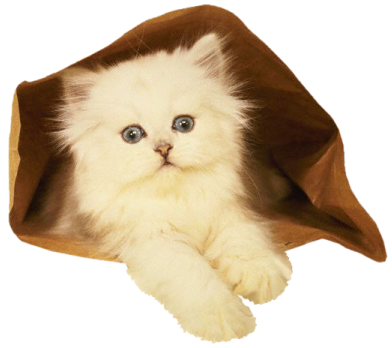  photo 48_zps4369035e.png