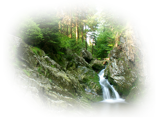 photo 5775a265.png