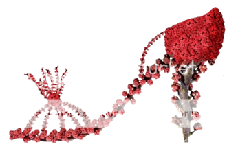  photo 65.png
