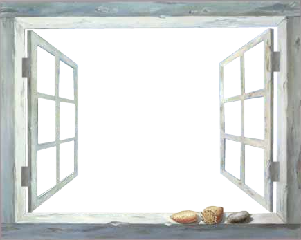  photo WhitewashWindow_Janet.png