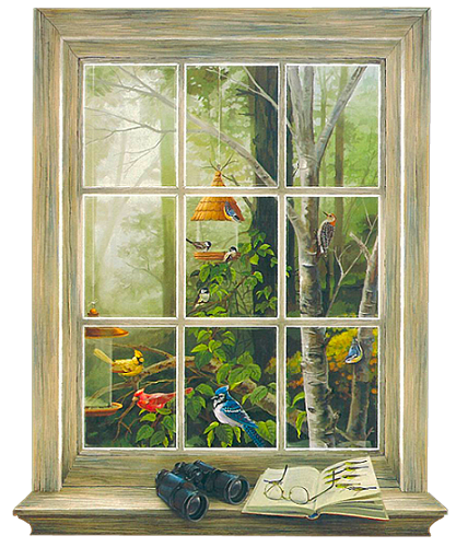  photo raz2004_windowwithaview.png