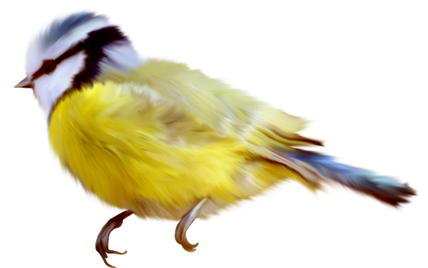  photo 2224564_zps55849f57.png