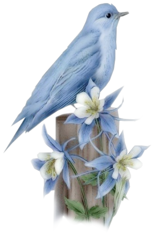  photo 2477444_zpsb08f6d65.png