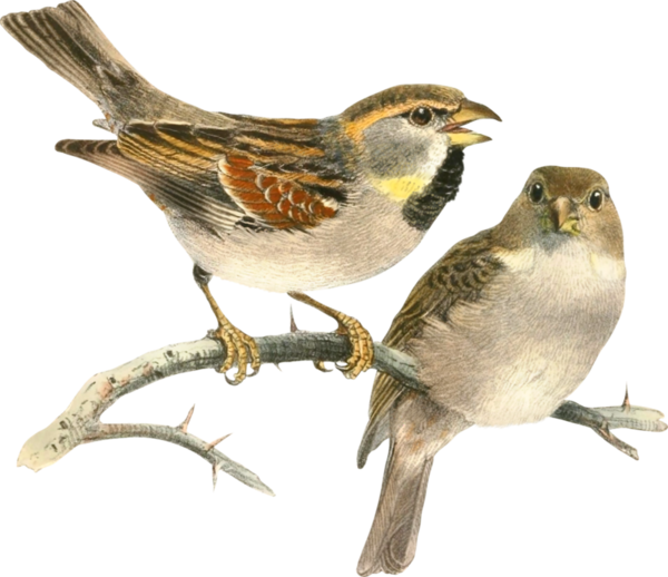  photo 2477517_zps298ae5f9.png