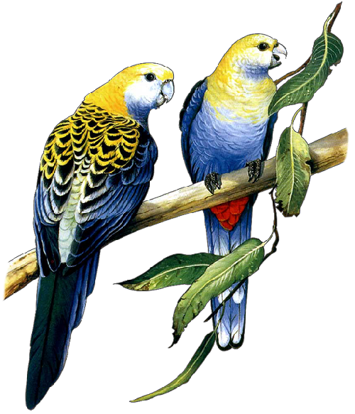  photo mod_article42351660_4f4f777_zps8e61fcd3.png