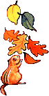  photo Eekhoorn43_zps900a12e4.gif