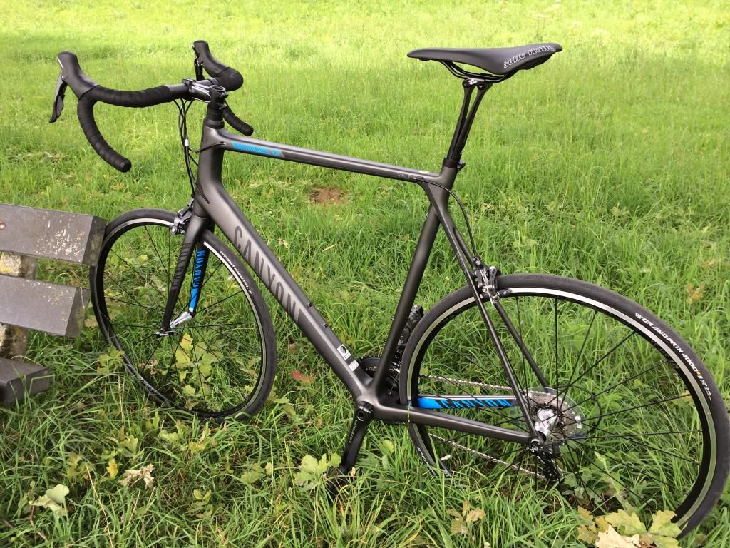 canyon endurace 3xl