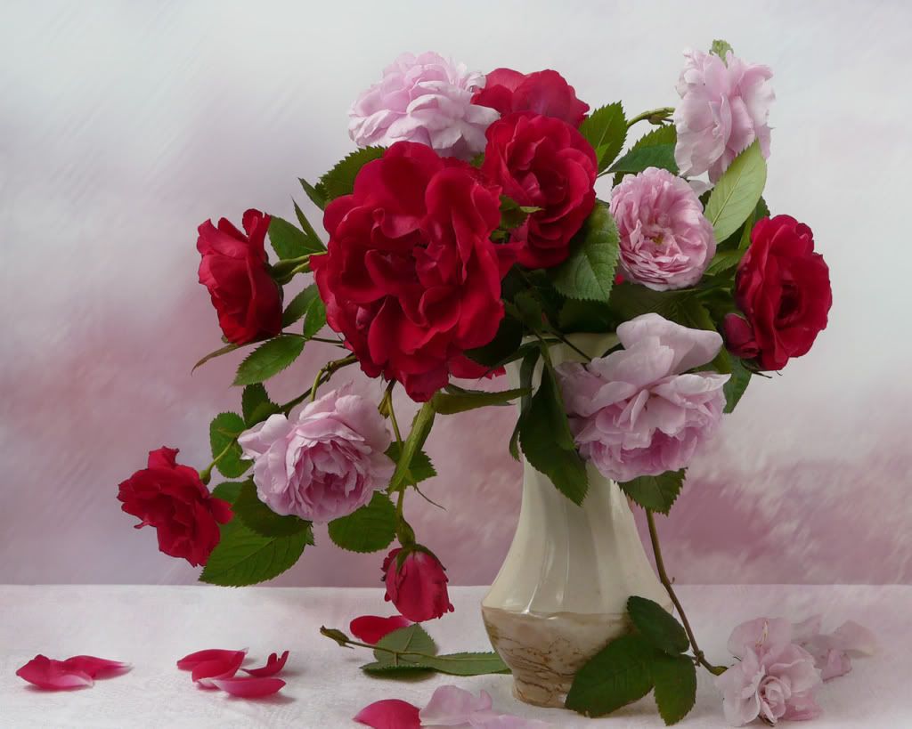 http://i161.photobucket.com/albums/t238/damatref/Zamok-3/6-12.jpg