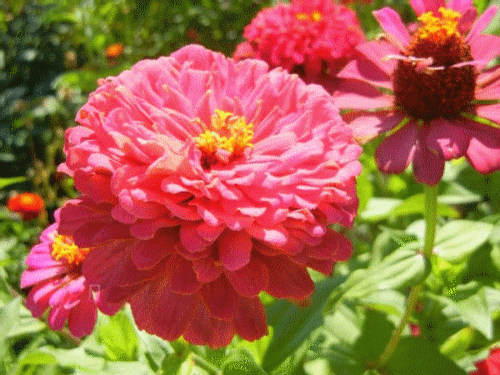 http://i161.photobucket.com/albums/t238/damatref/Zamok-4/75-75-3.gif